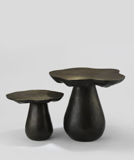 Studio Lesser